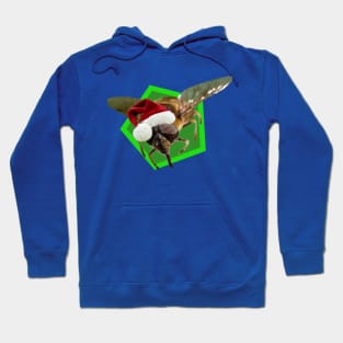 Bee Merry Hoodie